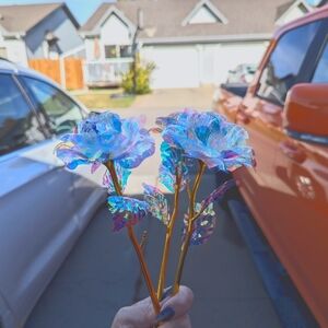 Clear Crystal Galaxy Rose - Set of 73